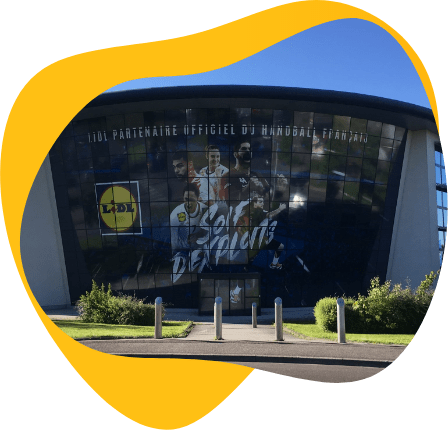 Lidl automation rate Lidl automation rate